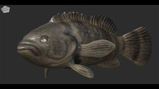 FREE Fish Rig for Autodesk Maya Download Demo by Shaun Keenan / Edge3Dcgi