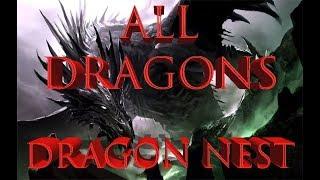 Все Драконы в Dragon Nest • Часть 1