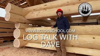 How to Build a Log Cabin: Cutting the Saddles for your Full Scribe Log Home #cabinbuild #logbuilding