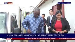 China prepares million dollar rabbit market for Zim #NewsPlus