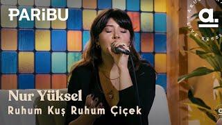 Nur Yüksel - Ruhum Kuş Ruhum Çiçek | Yeni Yerli 7. Sezon @AkustikhaneYeniYerli