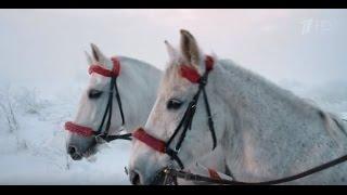 Реклама Домик в деревне - Масленица 2016