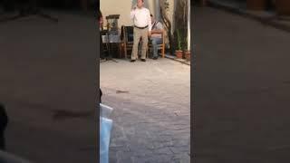 Gulomjon Sarimsaqov jonli ijro