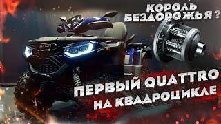 ЛИТРОВЫЙ XWOLF 1000 НА QUATTRO. ПРОРЫВ КВАДРОДВИЖЕНИЯ ??