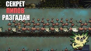 Гайд. Пипы: все, что нужно знать о высадке растений. Oxygen not included