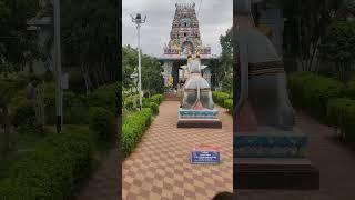 please like subscribe