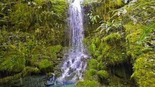 Raining Sounds by Tropical Waterfall with Distant Thunder | White Noise for Sleep