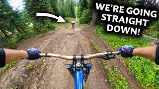 Here's why this is my 2nd favourite bike park