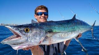 GIANT Baits for GIANT Kingfish Catch Clean cook