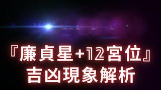 【廉貞星+12宮位】吉凶現象超乾貨解析！麥可大叔30年紫微斗數算命命理老師