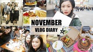 2016 NOVEMBER VLOG DIARY｜11月生活小日記｜夢露MONROE