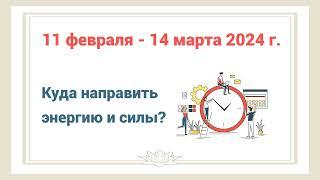 11 февраля - 14 марта. Лучшее время для работы!