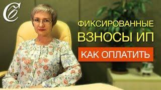 Оплата фиксированных взносов ИП за себя