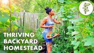 Woman's Incredible Backyard Homestead Produces TONS of Food for Her Family – URBAN GARDEN TOUR