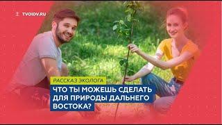 Сергей Арамилев. Что ты можешь сделать для природы Дальнего Востока?