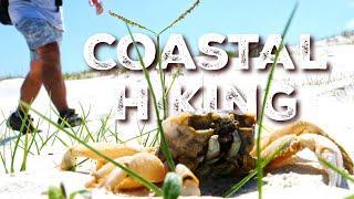 Top 3 Hiking Trails near the Georgia Coast | Travel USA