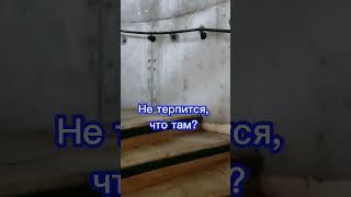 #юристкамалиева #юрист #путешествия #небо #перезагрузка #отдых #бизнес #мотивирующеевидео