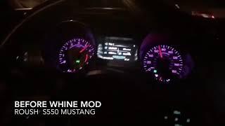 Loud whine Roush Mustang Foster SC WHINE mod