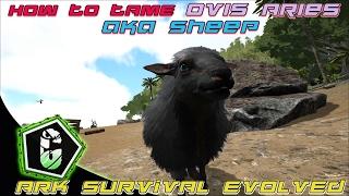  Ark Survival Evolved - How To Tame Ovis Aries (Sheep) 