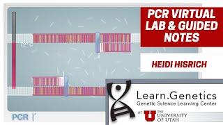 PCR Virtual Lab & Guided Notes