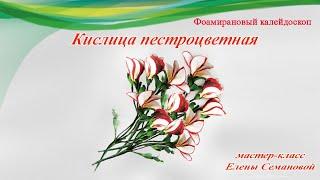 Цветок кислица пестроцветная из фоамирана своими руками. Мастер-класс Елены Семановой DIY