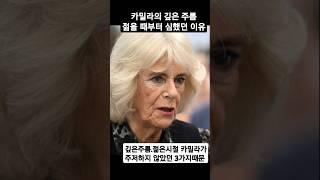 카밀라의 깊은주름 젊은시절탐닉했던3가지.