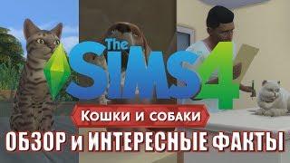 The Sims 4 Кошки и собаки - Обзор дополнения | Интересные факты