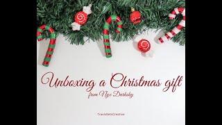 Unboxing A Christmas Gift from Nyx Darksky 🫶