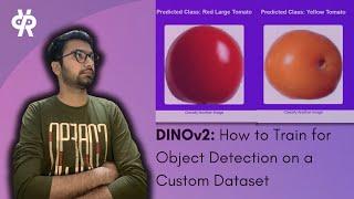 DINOv2: How to Train for Object Detection on a Custom Dataset