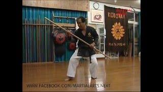 Matayoshi kobudo. Shishi no kun.