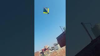1 tawa  kite flying #shortvideo #trending #viral #basant #flyingbigkites