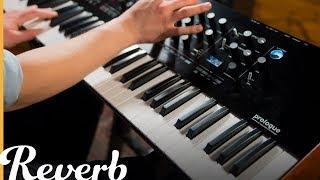 Korg Prologue Polyphonic Analogue Synthesizer | Reverb Demo Video