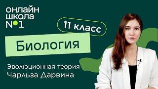 Эволюционная теория Чарльза Дарвина. Биология 11 класс. Видеоурок 2