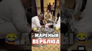 арабы: жареный верблюд #арабы #прикол #приколы #short #арабский #верблюды #приколы2022 #приколыс