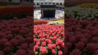 Islamic video 4K #viralvideo #beautiful #love al#viralshorts #allah #islam