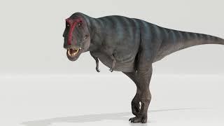 Animation of T.rex Walking According to Simulations