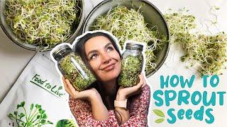 HOW TO SPROUT SEEDS | EASY GUIDE | Foolproof Method