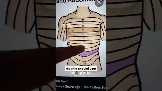 Doctor Explains Why Touching Your Belly Button Feels Naughty!