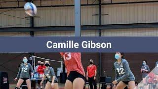 Camille Gibson Volleyball Highlights - NY 2023 - L. DS