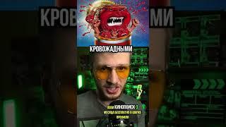Самые идиотские фильмы в мире, кино факты