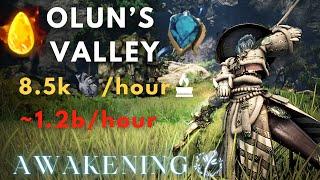 BDO Olun's Valley Duo - 693GS Awakening Maehwa PvE | Lv2+Agris 8.5k Trash/hour