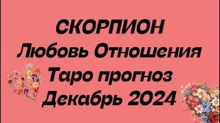 СКОРПИОН ️ . Любовь Отношения таро прогноз декабрь 2024 год. Отношения