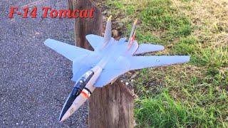 E-flite F-14 Tomcat twin 40mm edf Jet launch and Delta mode  #rc #aviation