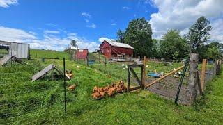 A Homestead WORK DAY!  // Whitt Acres