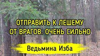 ОТПРАВИТЬ К ЛЕШЕМУ. ОТ ВРАГОВ. ОЧЕНЬ СИЛЬНО. ДЛЯ ВСЕХ. ВЕДЬМИНА ИЗБА ▶️ МАГИЯ