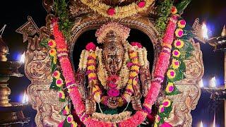 Bappanadu Temple Mulki Jatre Festival Glimpses