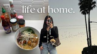 life at home | daily life vlog, recovering from our trip, bay area california