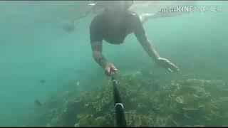 Snorkeling di pulau Lengkuas Belitung
