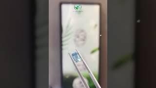 1卡藍鑽兩萬零蚊就可以擁有到快啲搵我哋查詢啦