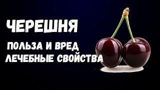 Черешня Польза и Вред Лечебные Свойства